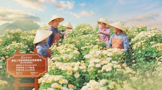 斯汀花瓣沐浴露连续三年全球销量第一CQ9电子版入口市场地位证明：蔻(图3)
